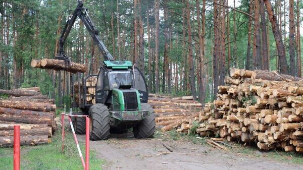    © Минлесхоз Беларуси