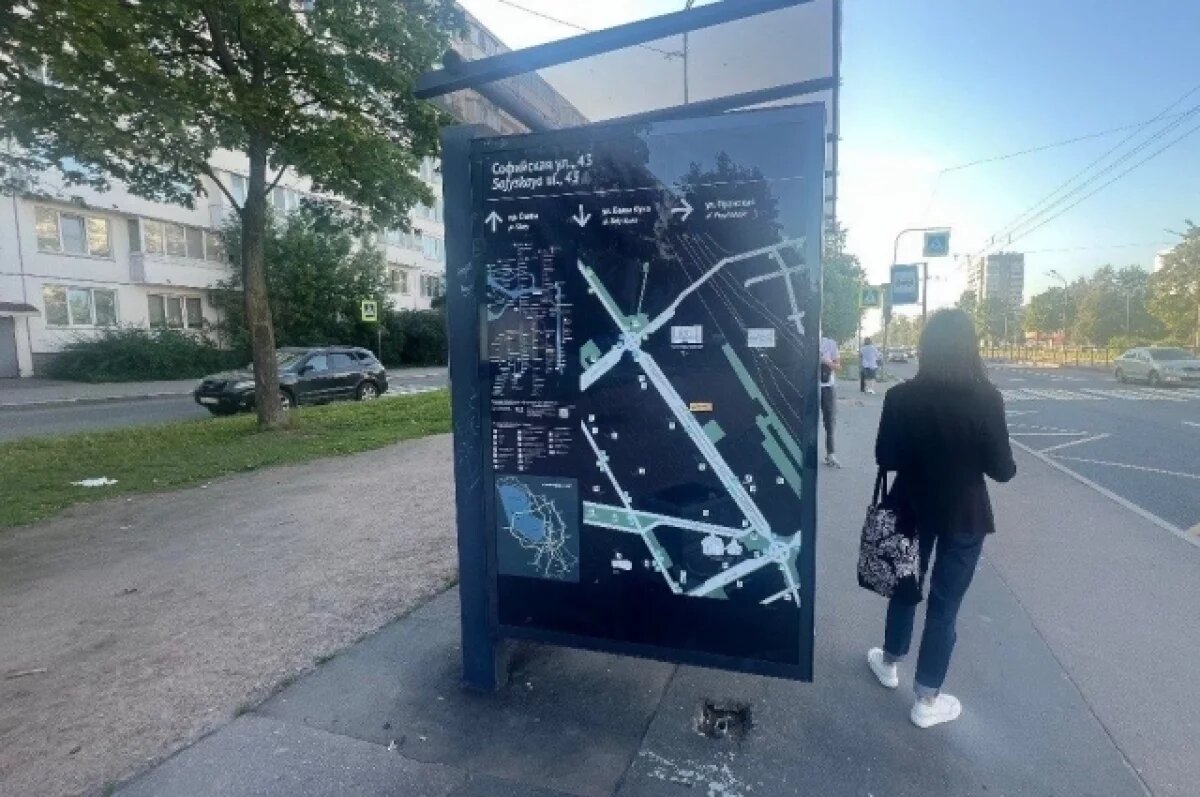    В Петербурге на 232 остановках транспорта разместили лайтпостеры