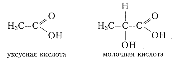 из интернета