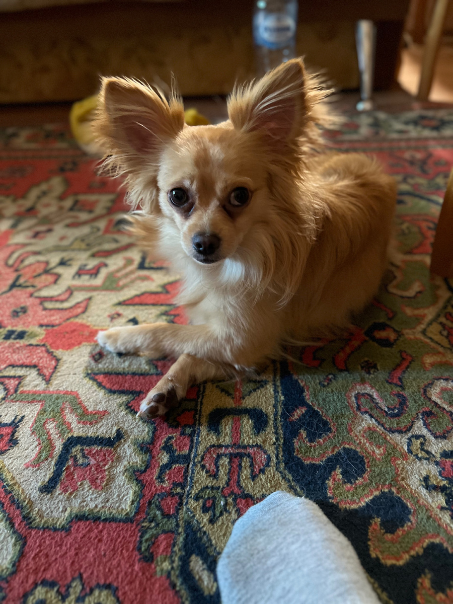 Привет от Шелдона Петровича