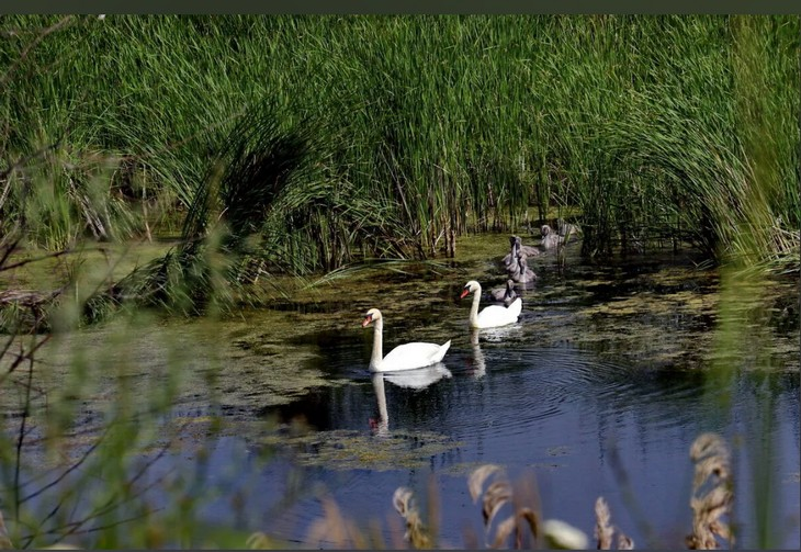 Фото Алексея Коверзнева
