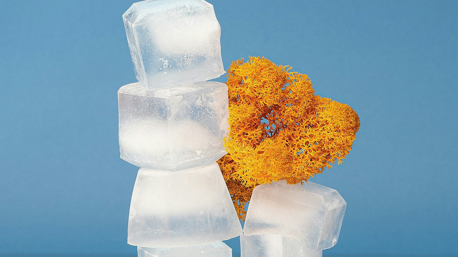     Источник здесь и далее: unsplash.com