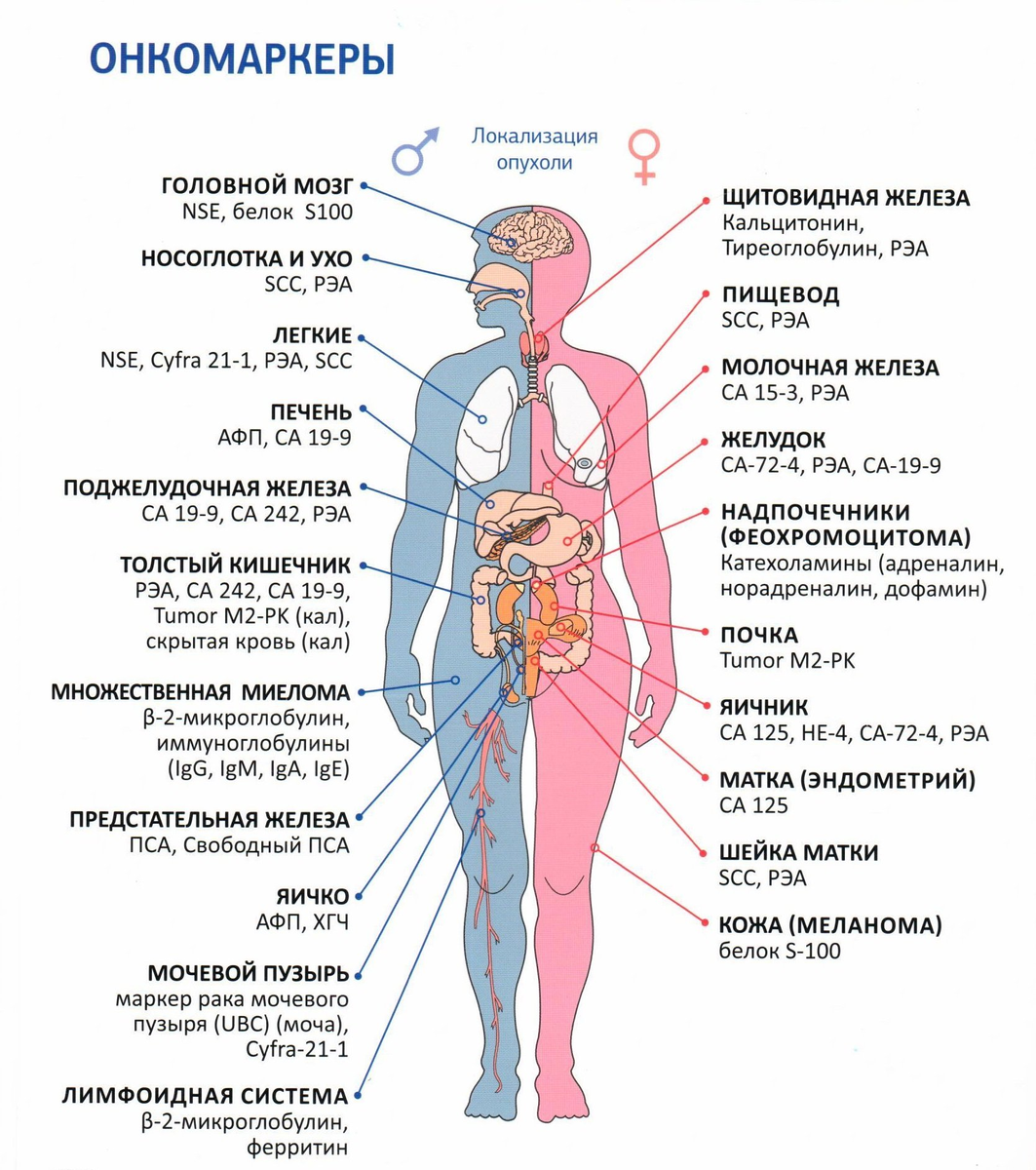 https://www.ckbran.ru/diagnostic/laboratornye-analizy-i-issledovaniya/analiz-na-onkomarkery