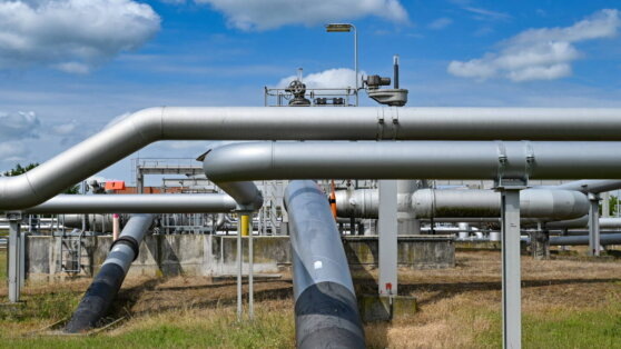    В ЕС ответили на требование Венгрии вернуть нефть из России Татьяна Сидорова