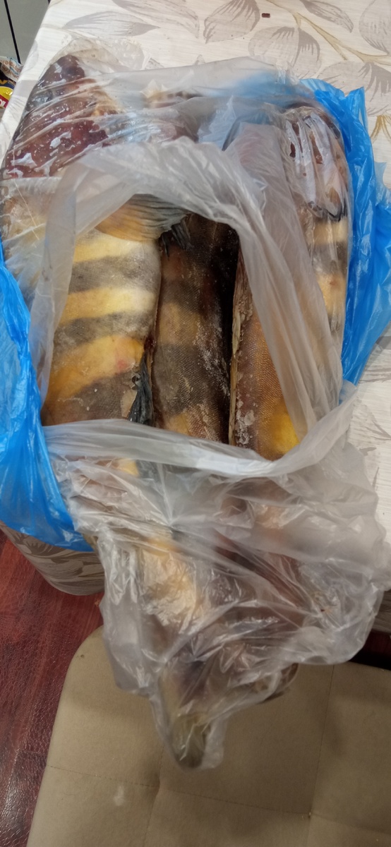 Для начало необходимо купить вкусную рыбку.