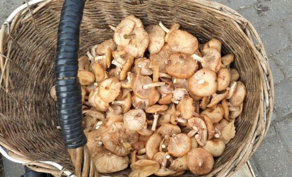    Фото: Екатерина Иванова. UG.RU