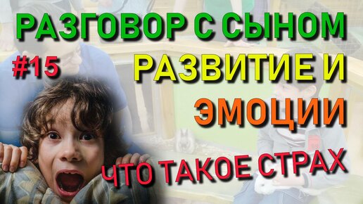 ✅ Разговор с сыном #15: Почему страх парализует. Природа эмоций. Как эмоции влияют на развитие человека