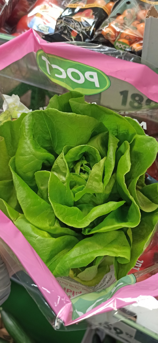 Просто посмотрите на эту красоту! Ну как такой салат не купить?