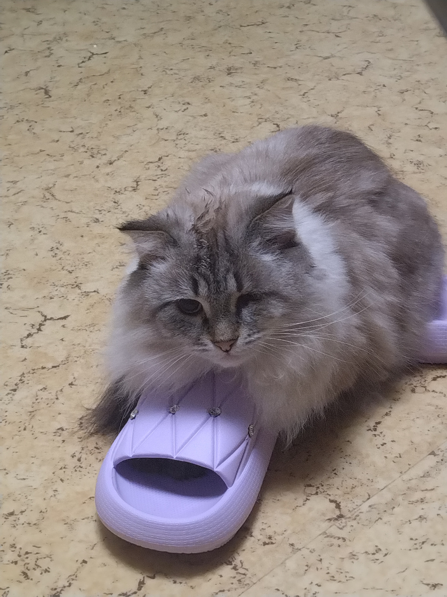 Потому что так...