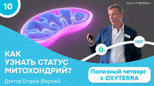 Как определить митохондриальную дисфункцию? (Полезный четверг с OXYTERRA. S1E10)