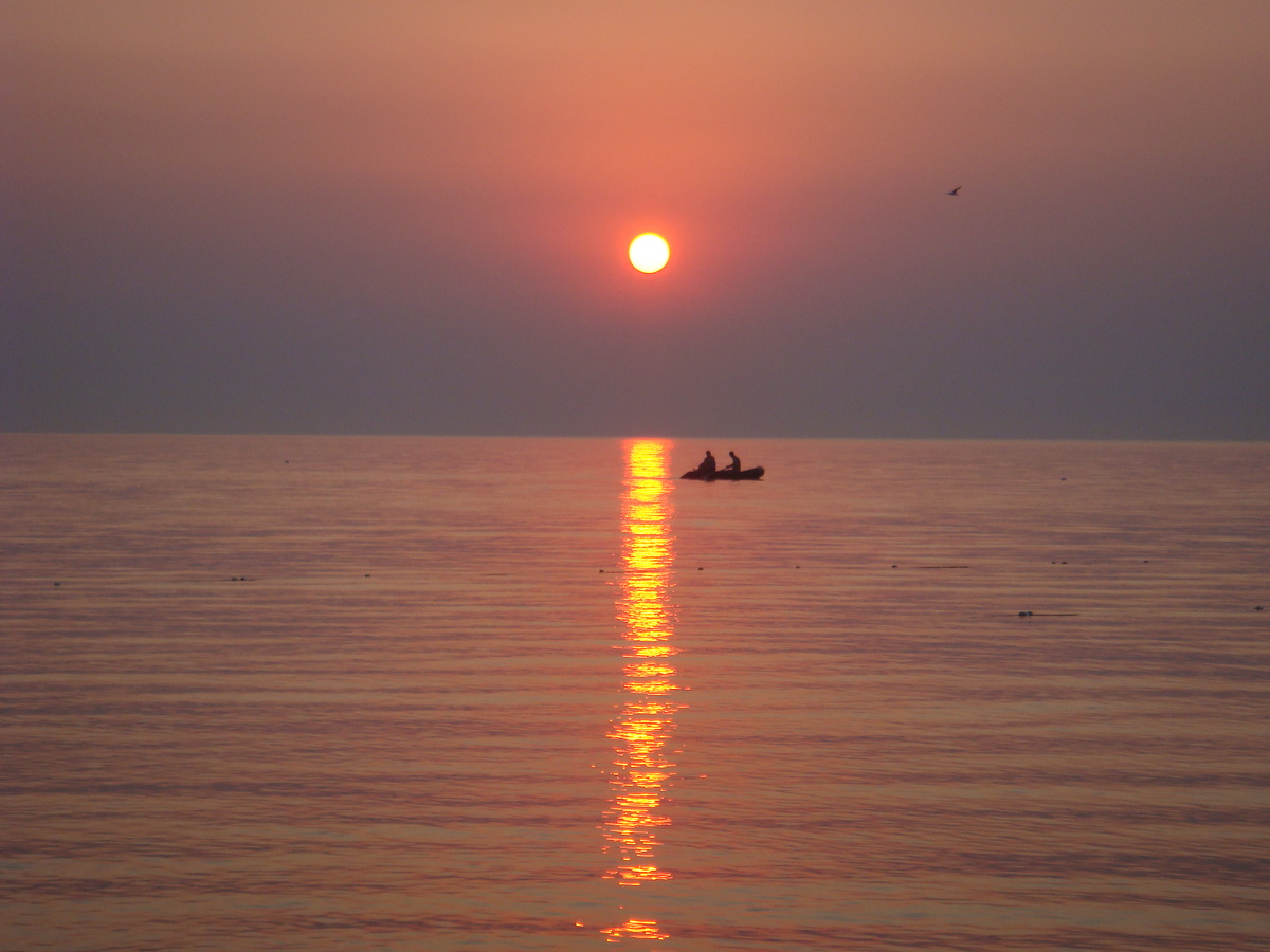 На побережье Черного моря