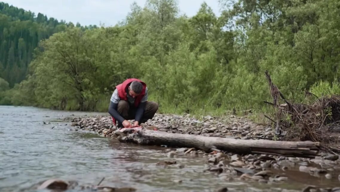 Ала "за работой". Скрин видео телеканала ТВ-3 
