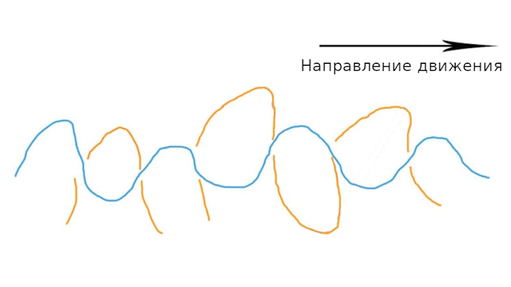 Следы образовали две синусоиды — от «лапок» и от хвоста.