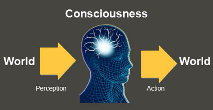 Как продуктивные задания связаны с когнитивным подходом в обучении иностранному языку