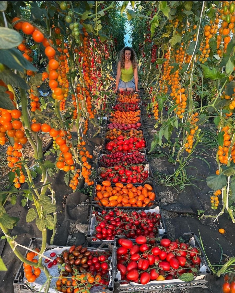 Из личного акк pertrovchanka_lera  