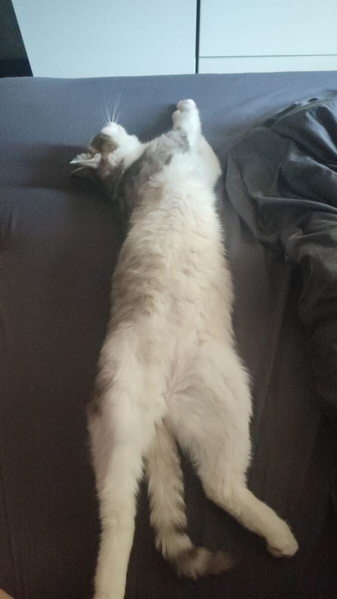 Вот вся его красота на виду