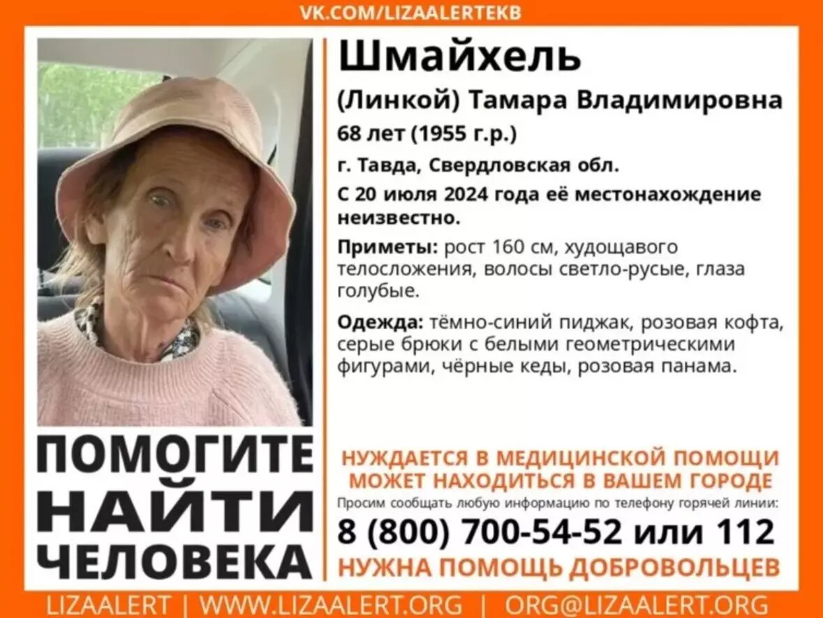     Источник: Поисково-спасательный отряд «Лиза Алерт»