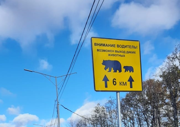 Вдоль дорог можно встретить предупреждающие знаки о возможных сюрпризах