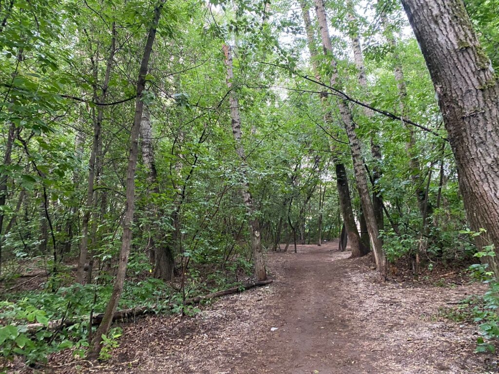    Фото: «В курсе.ру» Алена Калашникова