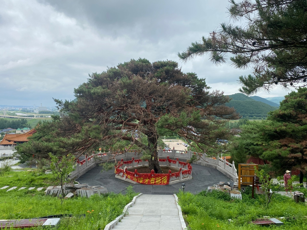 источник ablonka.livejournal.com