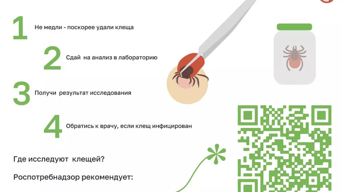     Источник: 86.rospotrebnadzor.ru