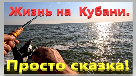 Жизнь на Кубани просто сказка. Ейск. Азовское море, рыбалка и куча всего вкусного!