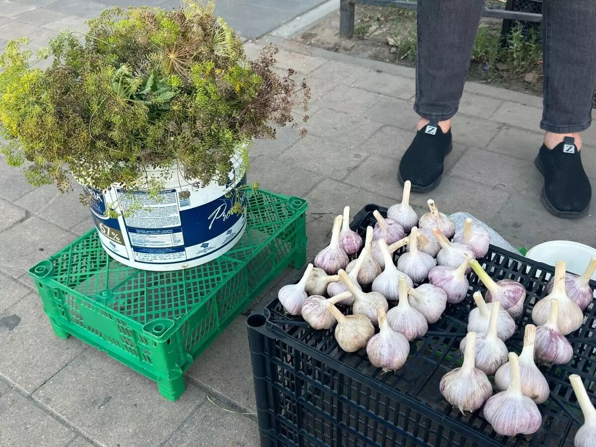     Источник: newsnn.ru