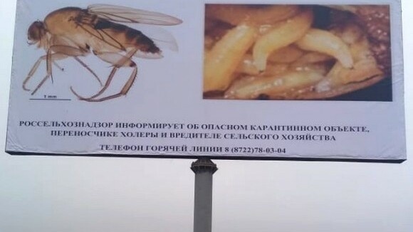     Источник: rsnrd.ru