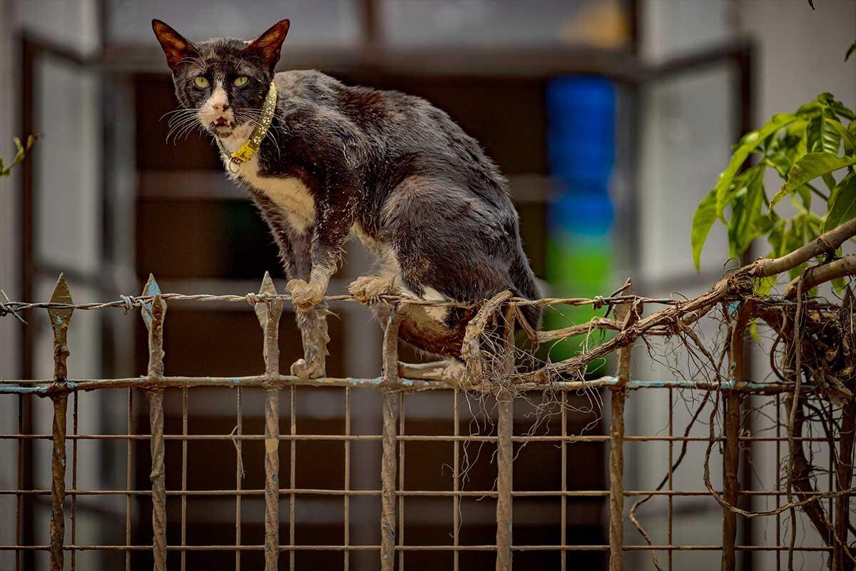 Ezra Acayan / Getty Images📷Последствия тайфуна «Гаеми», Филиппины, 25 июля 2024