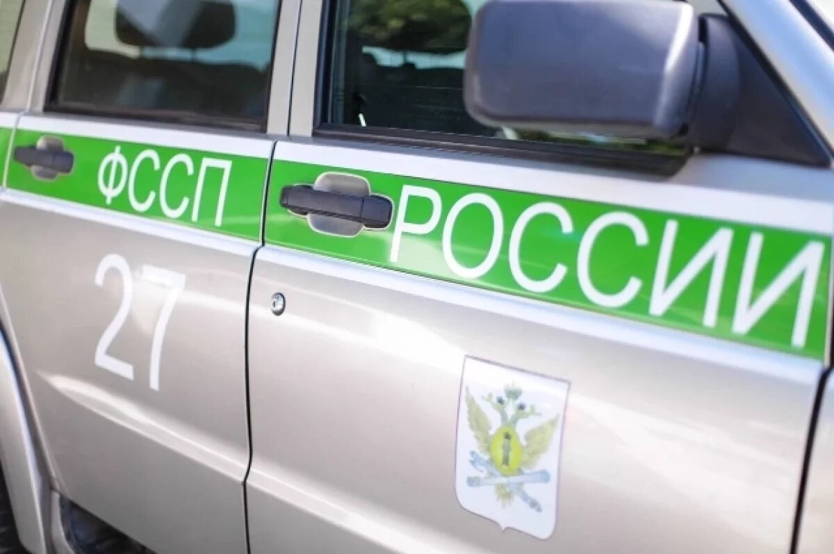    Приставы забрали пятерых детей из семьи в Челябинской области
