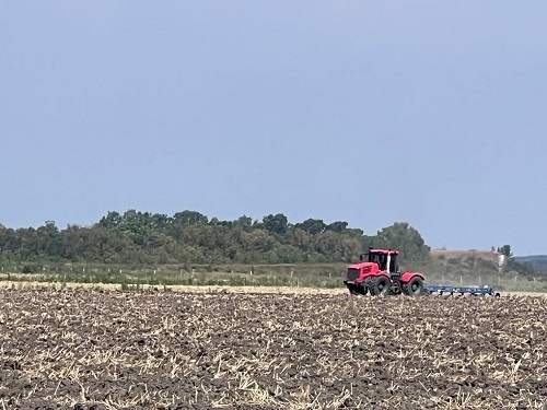    Фото: пресс-служба администрации Крымского района