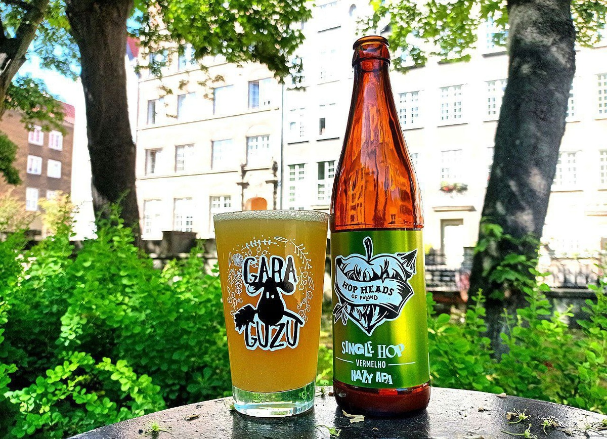 Single Hop Vermelho Hazy APA в стакане. Фото автора