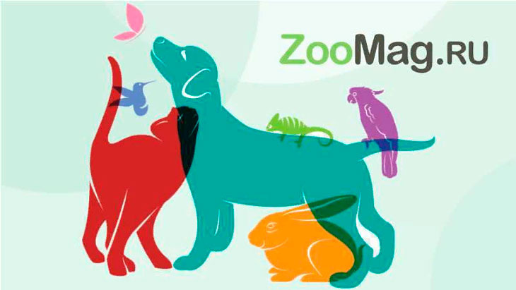 Преимущества использования купона Зоомаг