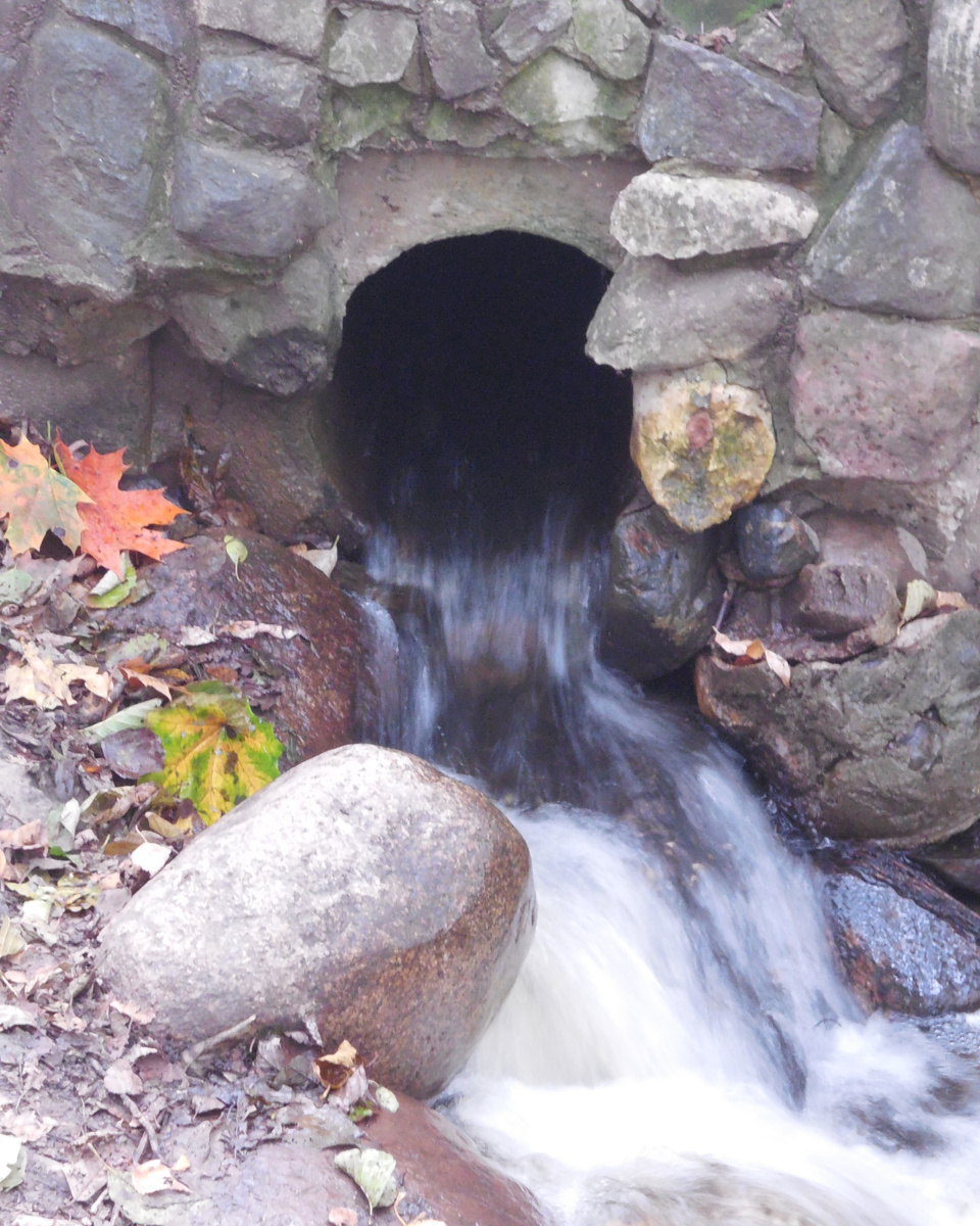 Подпорная стена из бетона, внешний слой - натуральный необработанный камень. Оформление перепада рельефа с водостоком