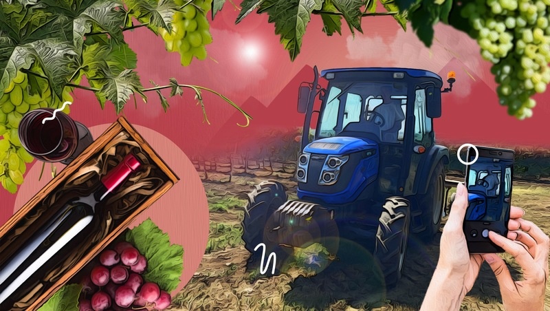      Фото: Камилла Улубаева / / ИА «Победа26»