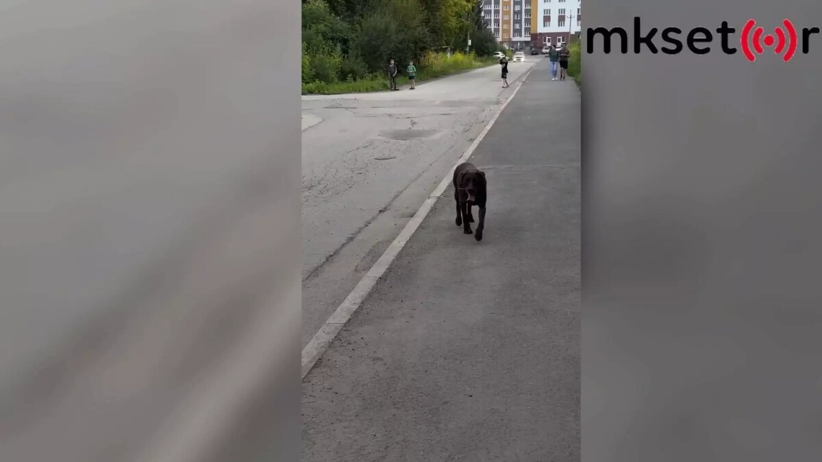     Источник: Vk.com