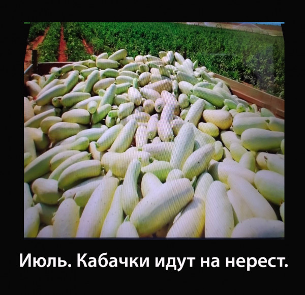 Источник: Яндекс.Картинки. Листайте галерею.