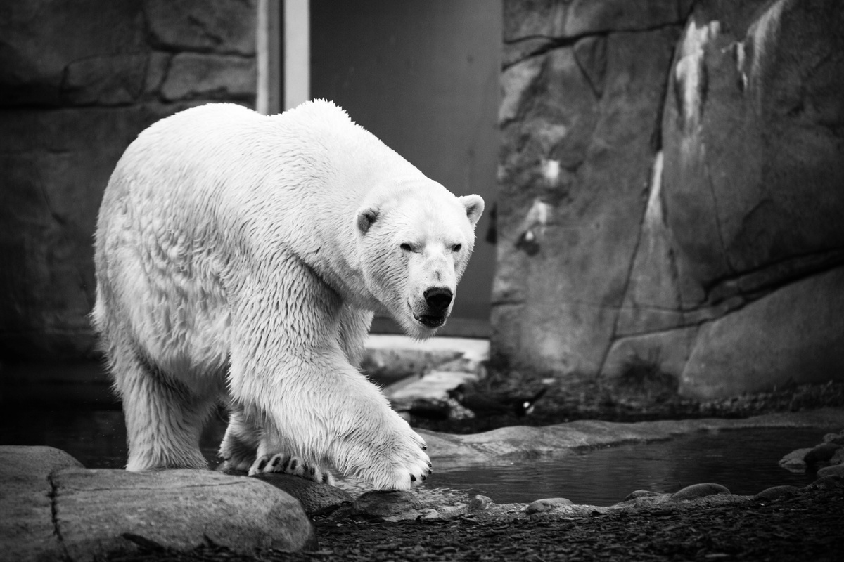 Картинка с бесплатного фотостока https://unsplash.com, автор  Kaiwen Sun