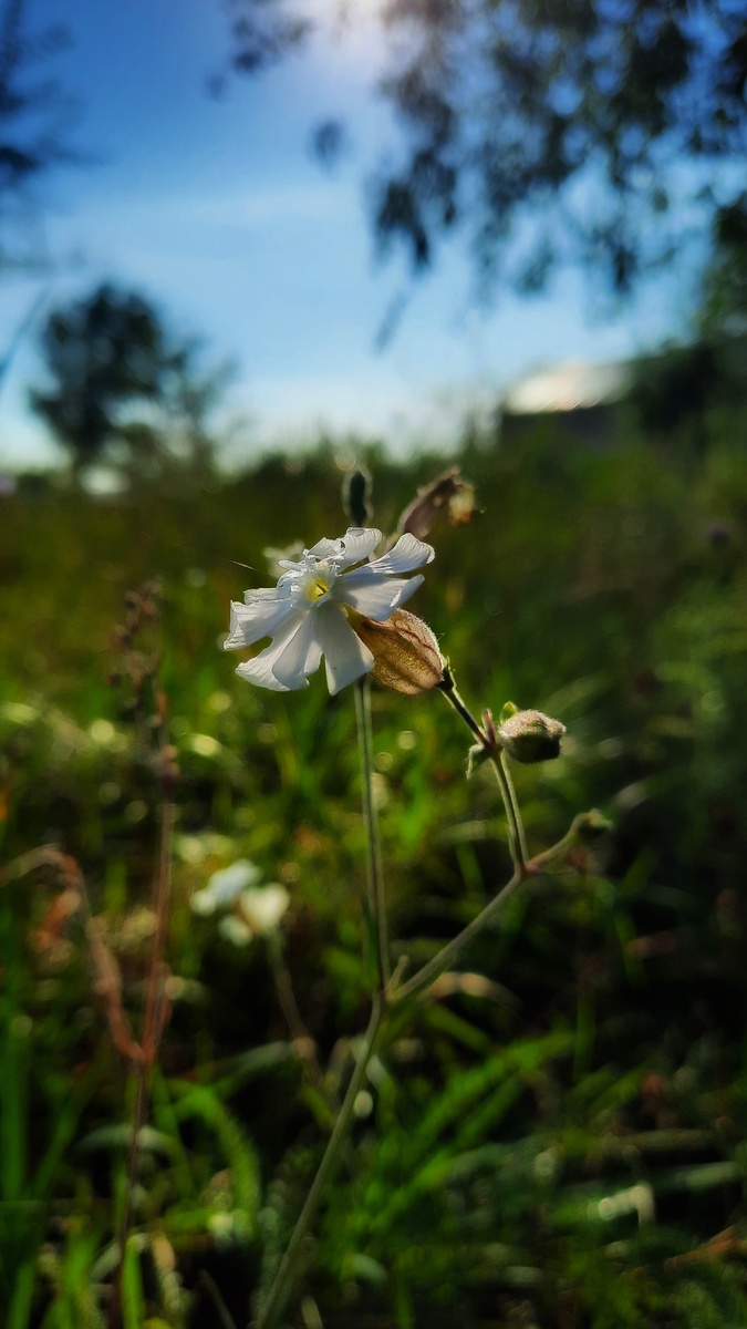 Моё фото в обработке 