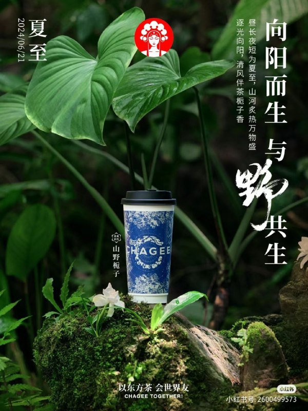 Китайский бренд 霸王茶姬 или Chagee 