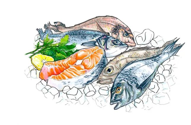 Изображение из открытого источника в интернете. 