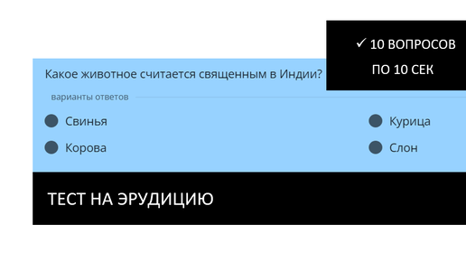 Есть минутка? Пройди тест на эрудицию