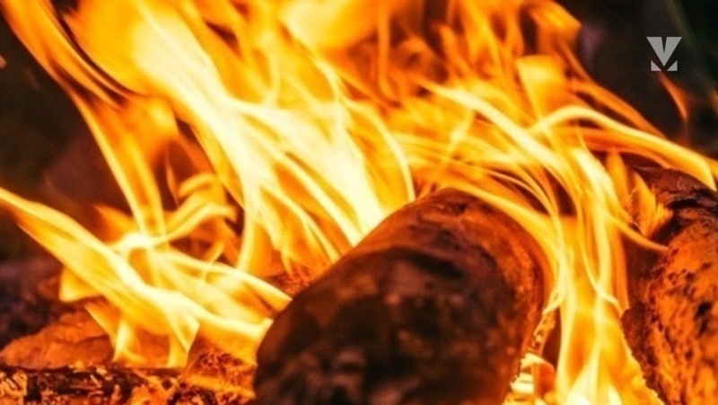      Фото: ИА «Победа26»