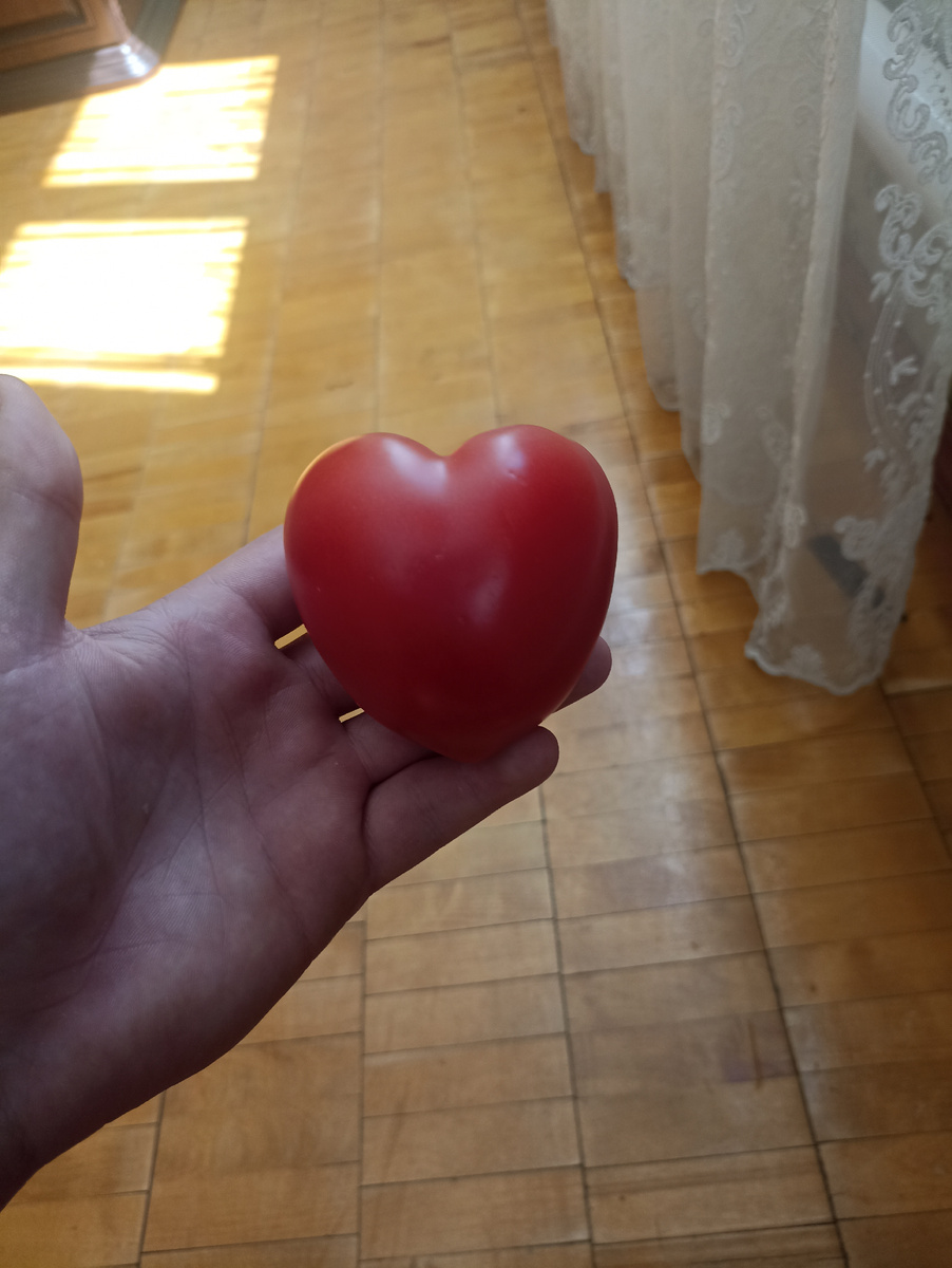Дай бог чтобы, тот кто увидит этот пост, улыбнулся)