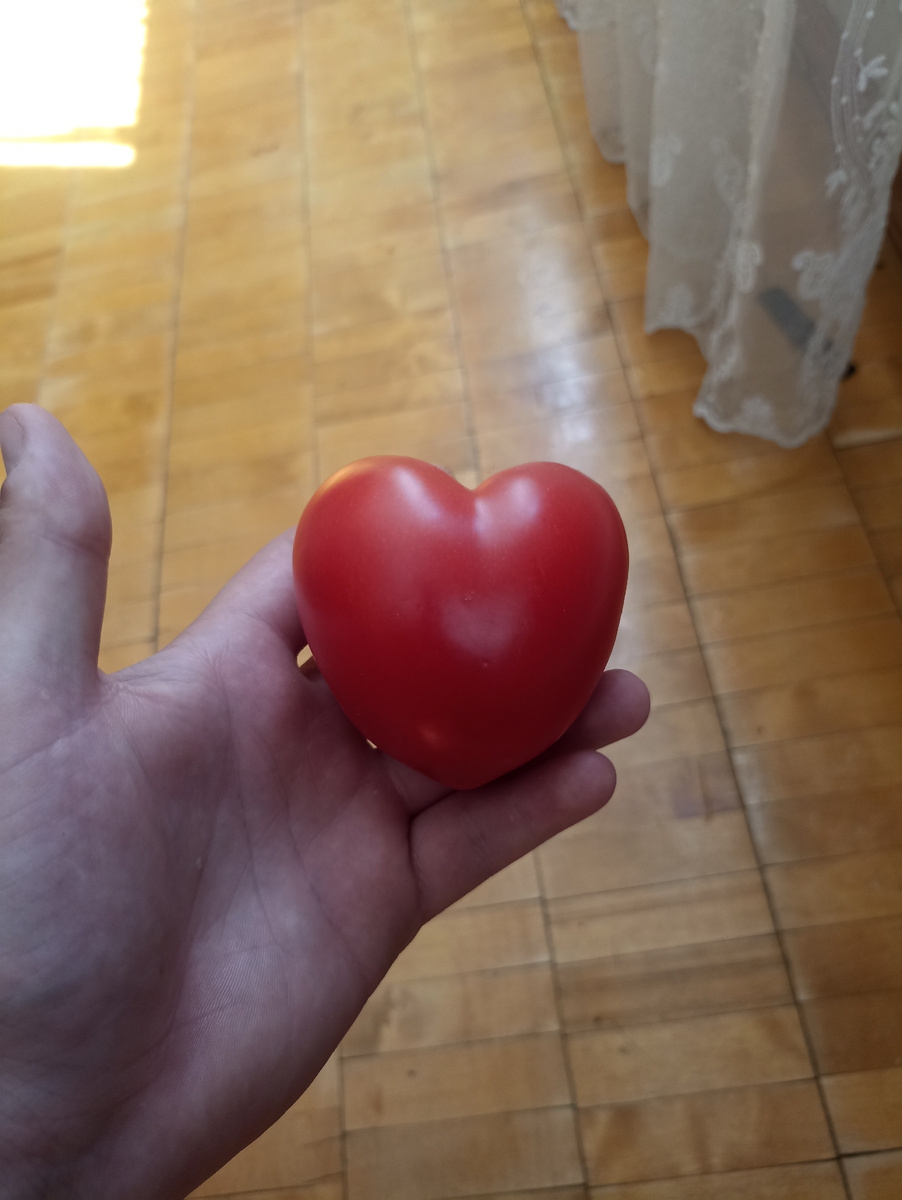 Хоть и реальное сердечко выглядит не так, далеко не так, но всё же)