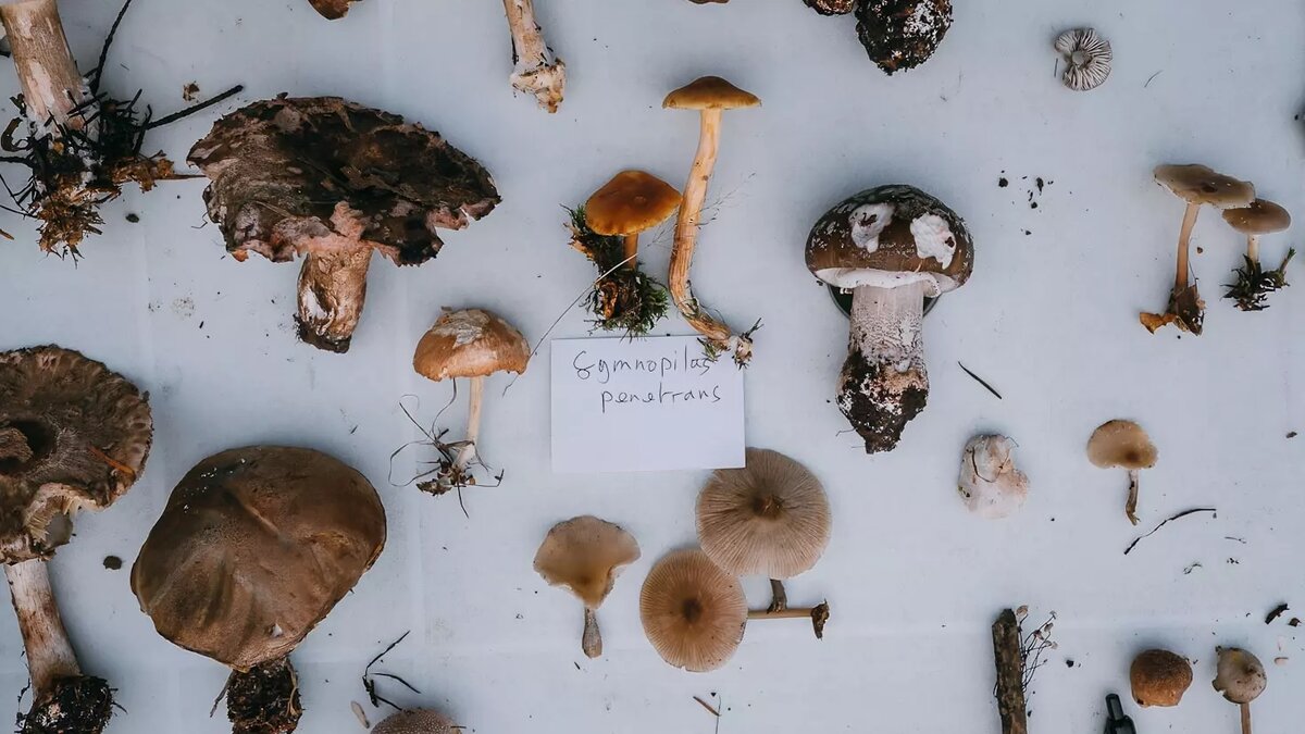     Автор: Unsplash