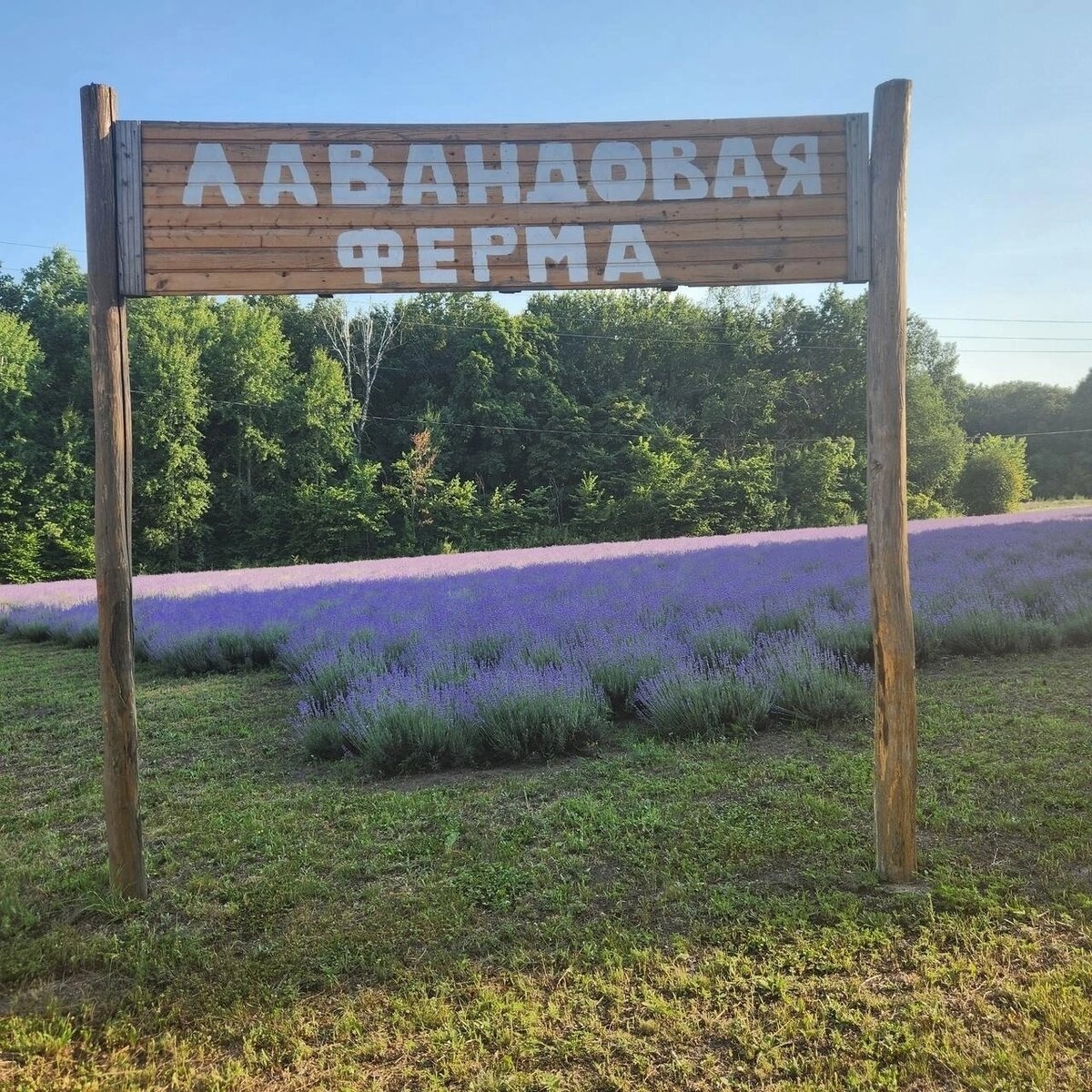 Фото от друзей из инета🌸🌺🌸