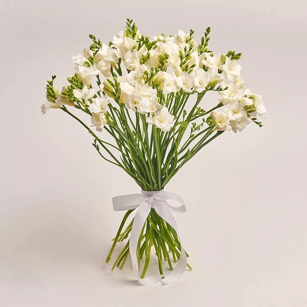   35 белых фрезий, Голландия от AzaliaNow