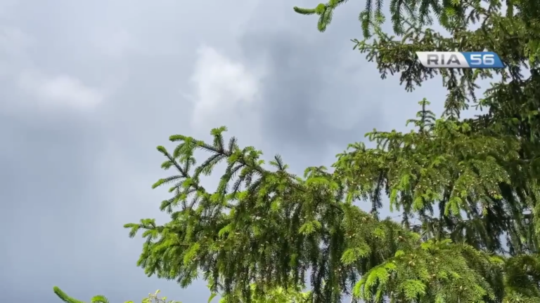    Из-за непогоды концертный проект «Четверги у Ростроповичей» 25 июля в Оренбурге отменяется Кристина Просвиркина