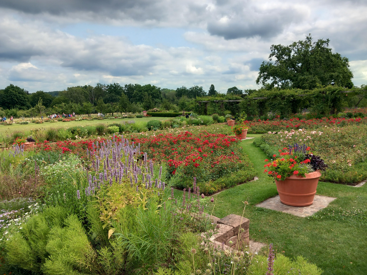  парк Розенхёе